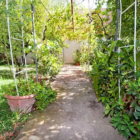 Casa Rosino